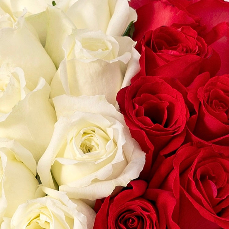 White Red Rose Bouquet