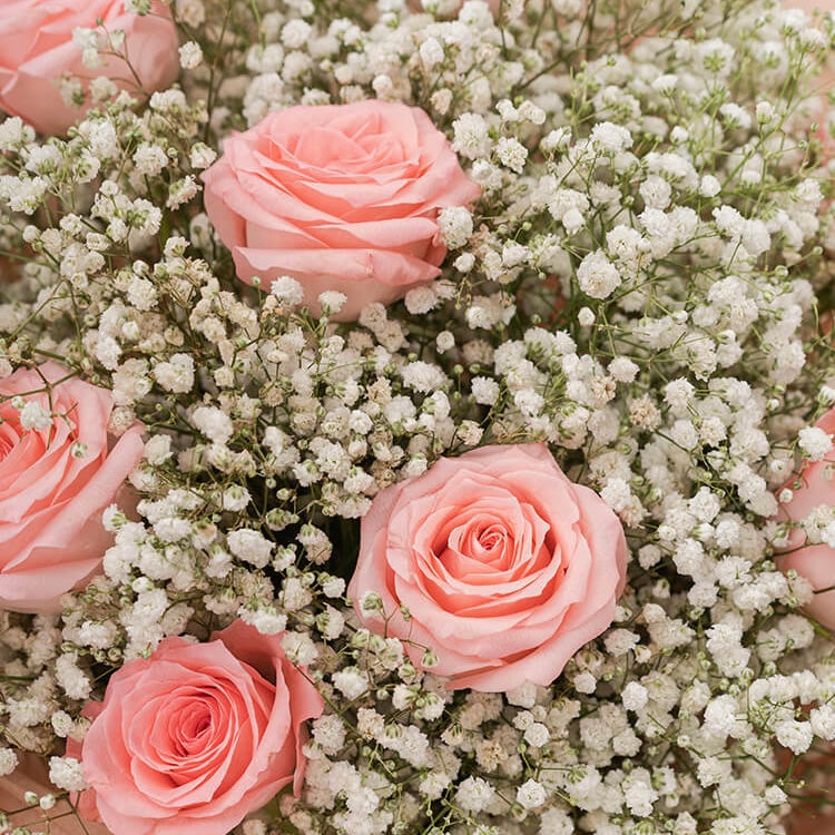 Baby Pink Rose Bouquet