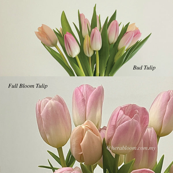 White Pink Tulip Bouquet 2