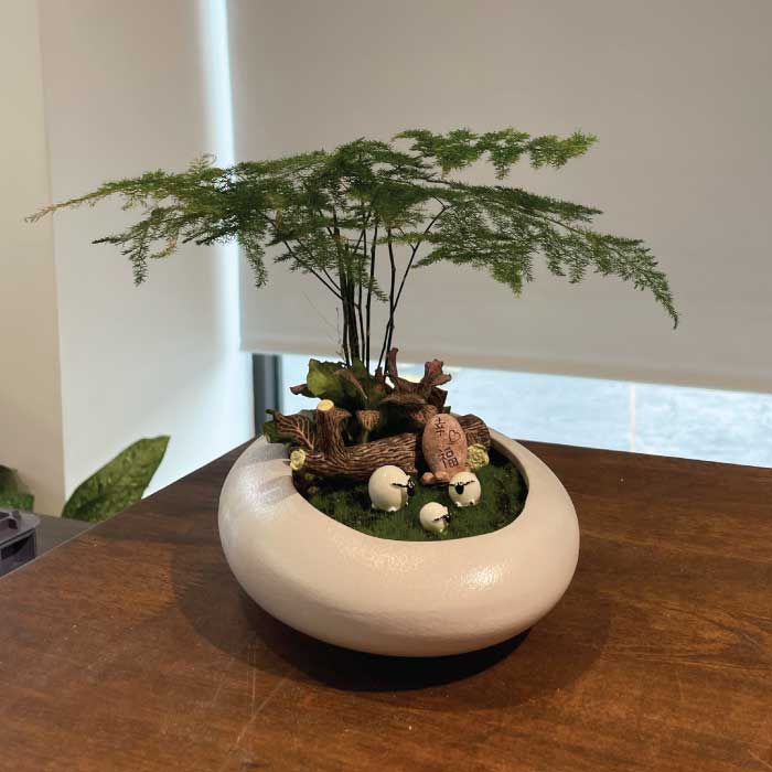 与你共建幸福家庭 Bonsai Plant Gift