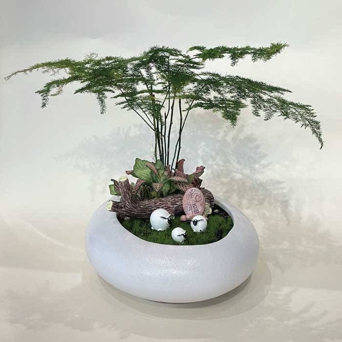 与你共建幸福家庭 Bonsai Plant Gift