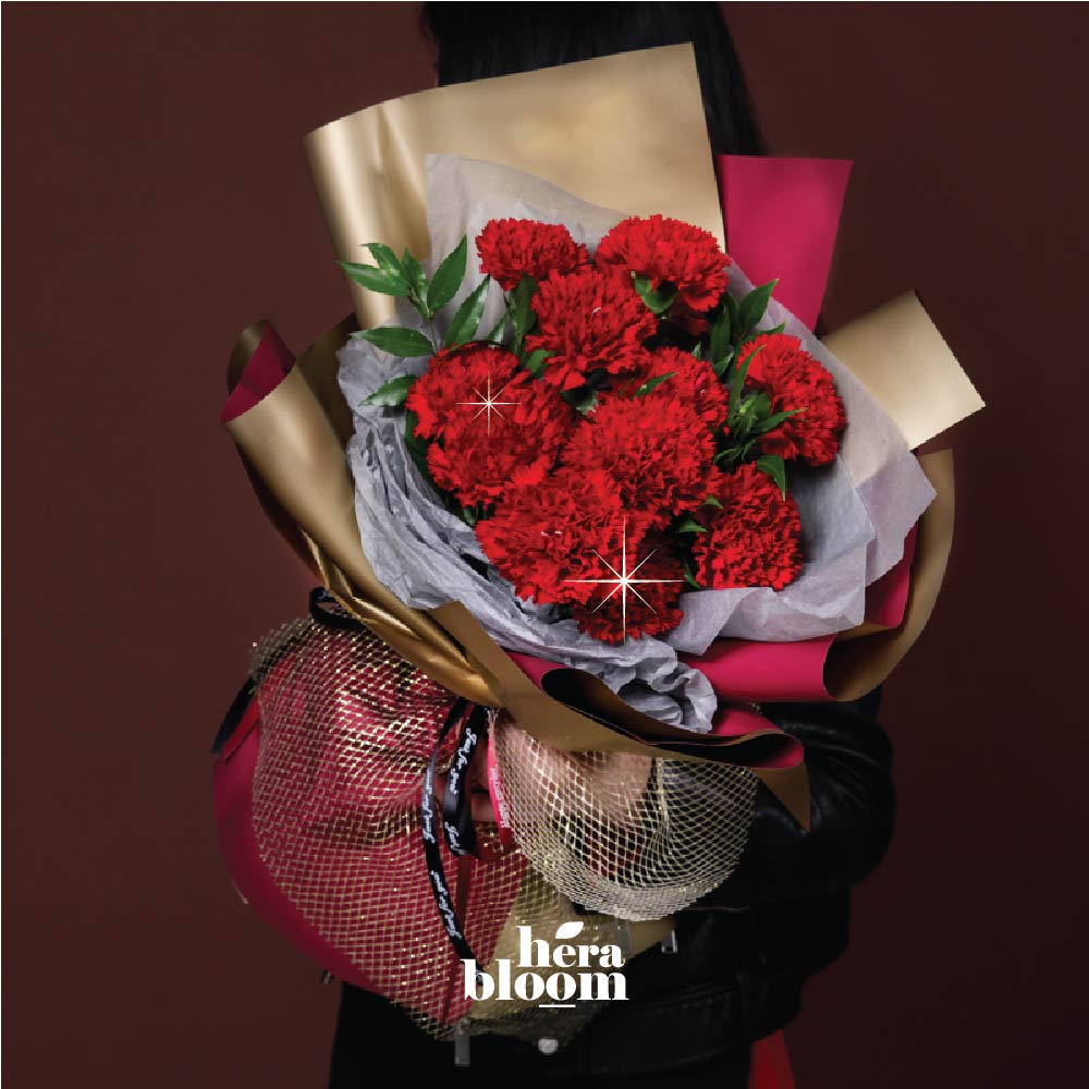 Red Carnation Bouquet - Hera Bloom