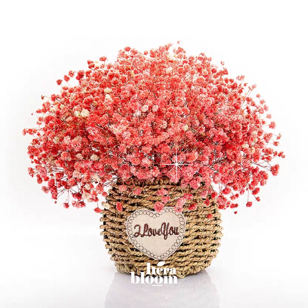 Dried Red Baby Breath in Basket - Hera Bloom